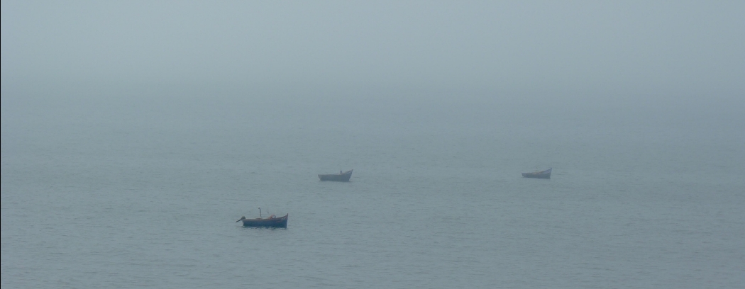 Barques